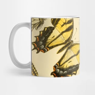 Yellow Butterfly Vintage Botanical Illustration Mug